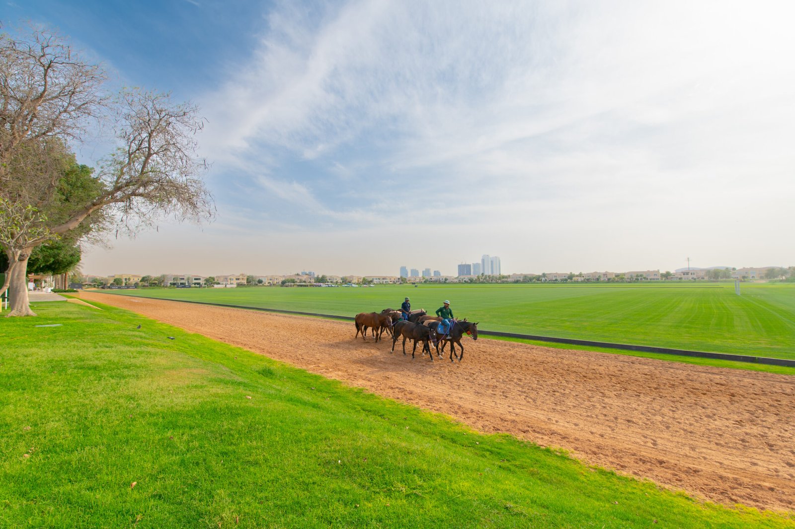 UNO_1827_1774265303367