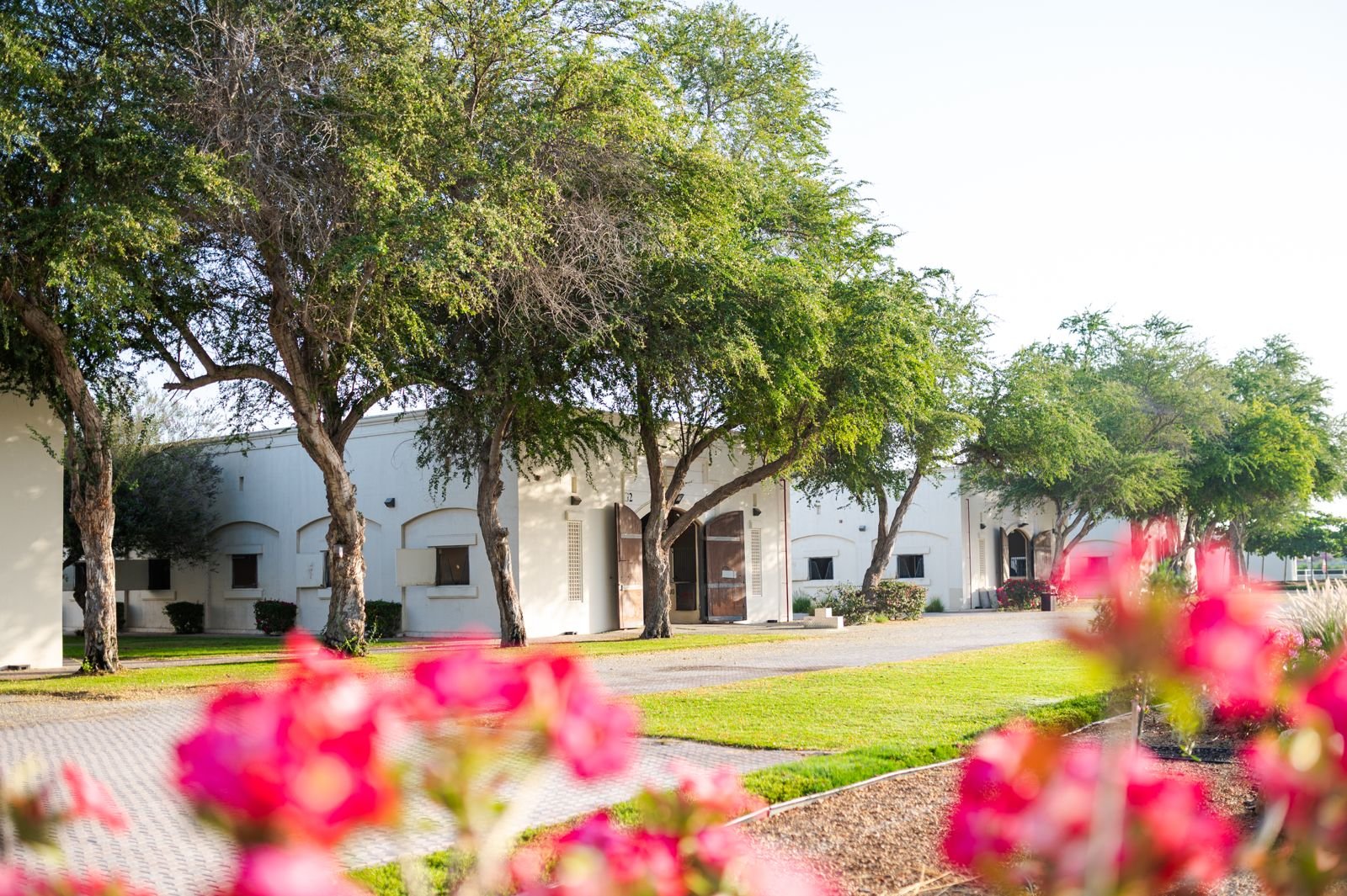 WhatsApp Image 2026-03-30 at 09.40.52