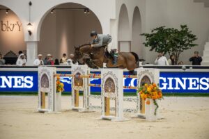 Show jumper clearing a fence at the Abu Dhabi Equestrian Club