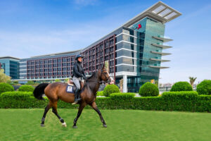 Rider on a bay horse in front of Al Forsan resort