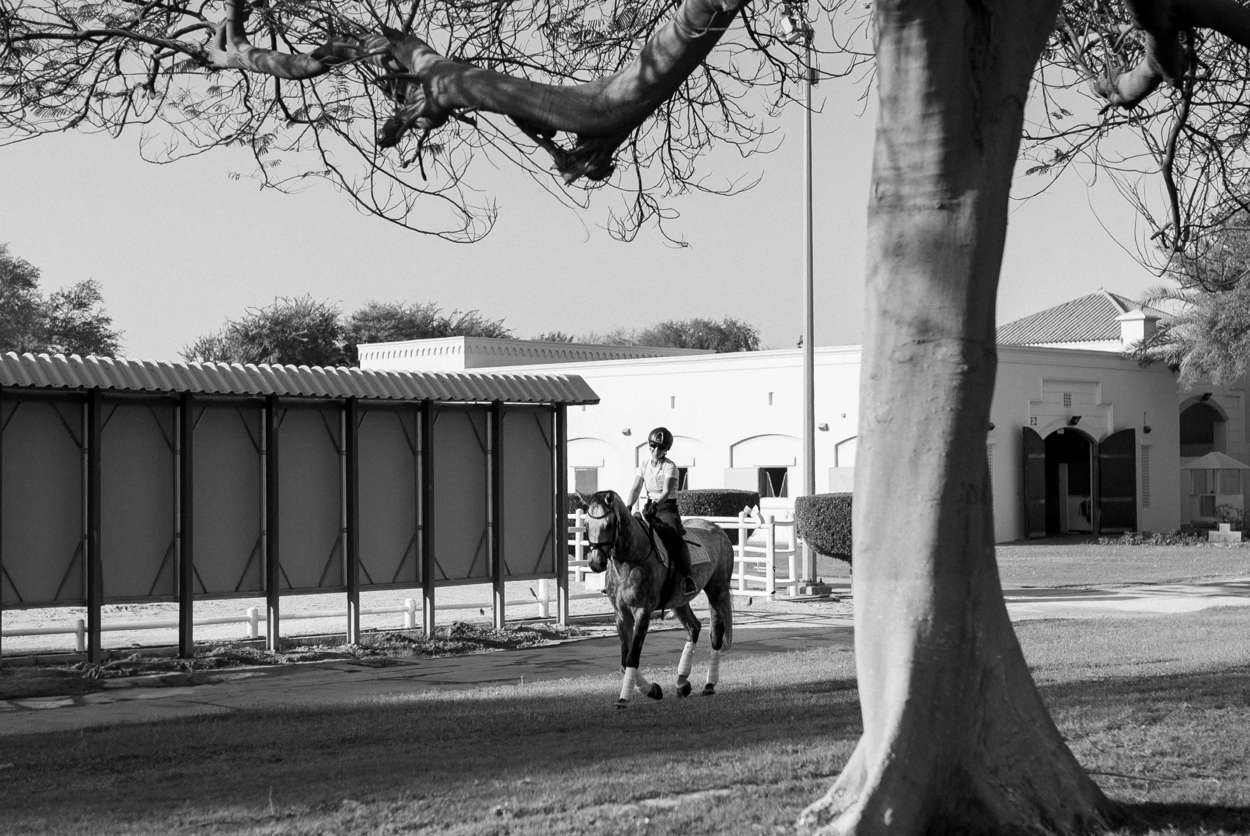 Rider beside the stables at Dubai Polo & Equestrian Club, black and white