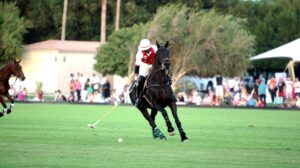Polo player striking the ball at Ghantoot racing and polo