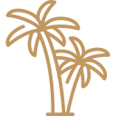 Palm trees icon